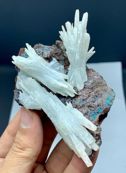Crystallized White Aragonite with Chryosocolla on Matrix from Baluchistan, Pakistan - 144 grams