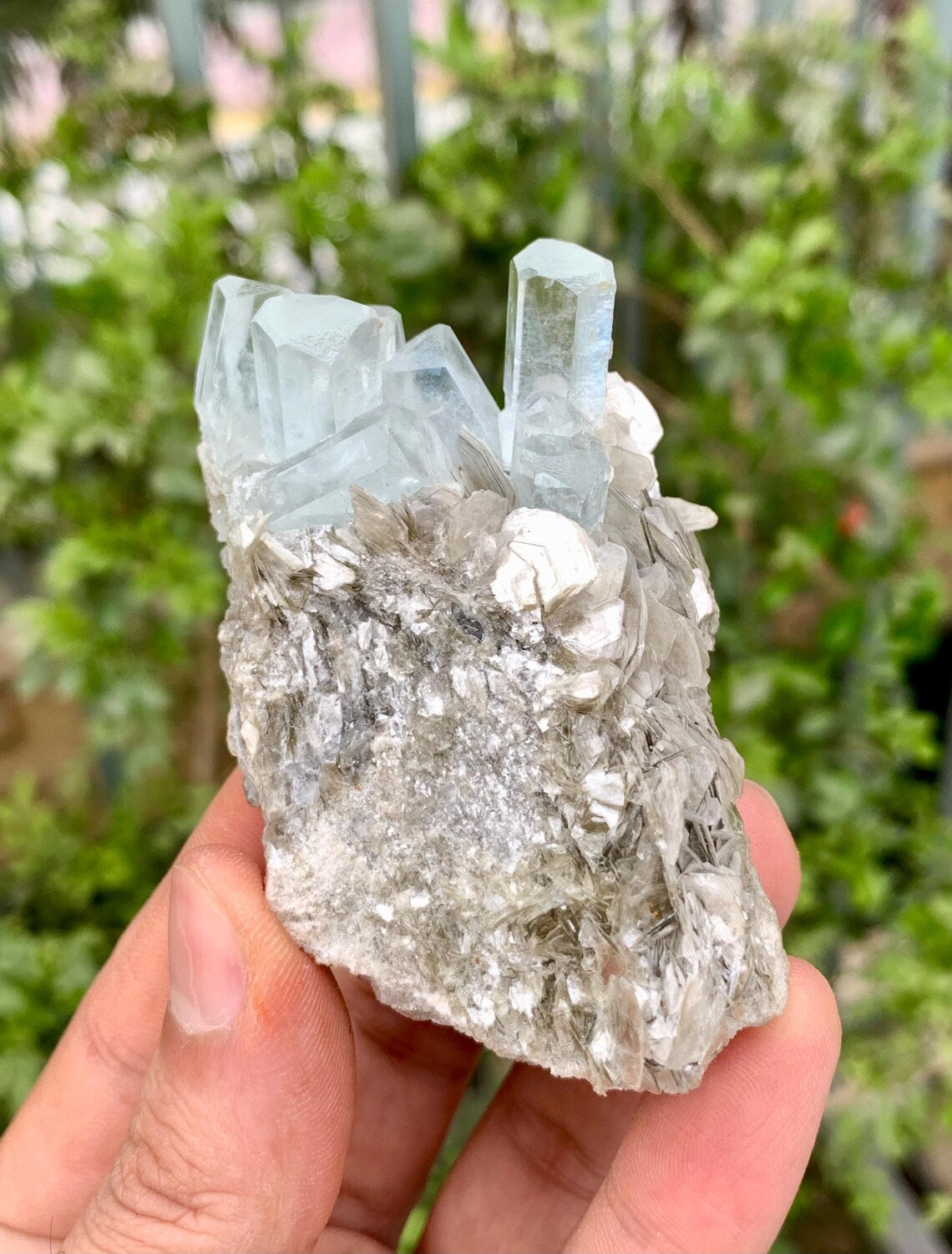 Aquamarine Cluster on Mica from Nagar valley Pakistan - 103 grams
