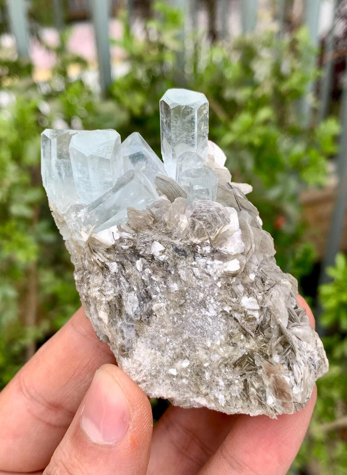 Aquamarine Cluster on Mica from Nagar valley Pakistan - 103 grams