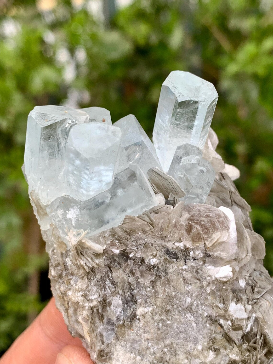 Aquamarine Cluster on Mica from Nagar valley Pakistan - 103 grams