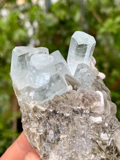 Aquamarine Cluster on Mica from Nagar valley Pakistan - 103 grams