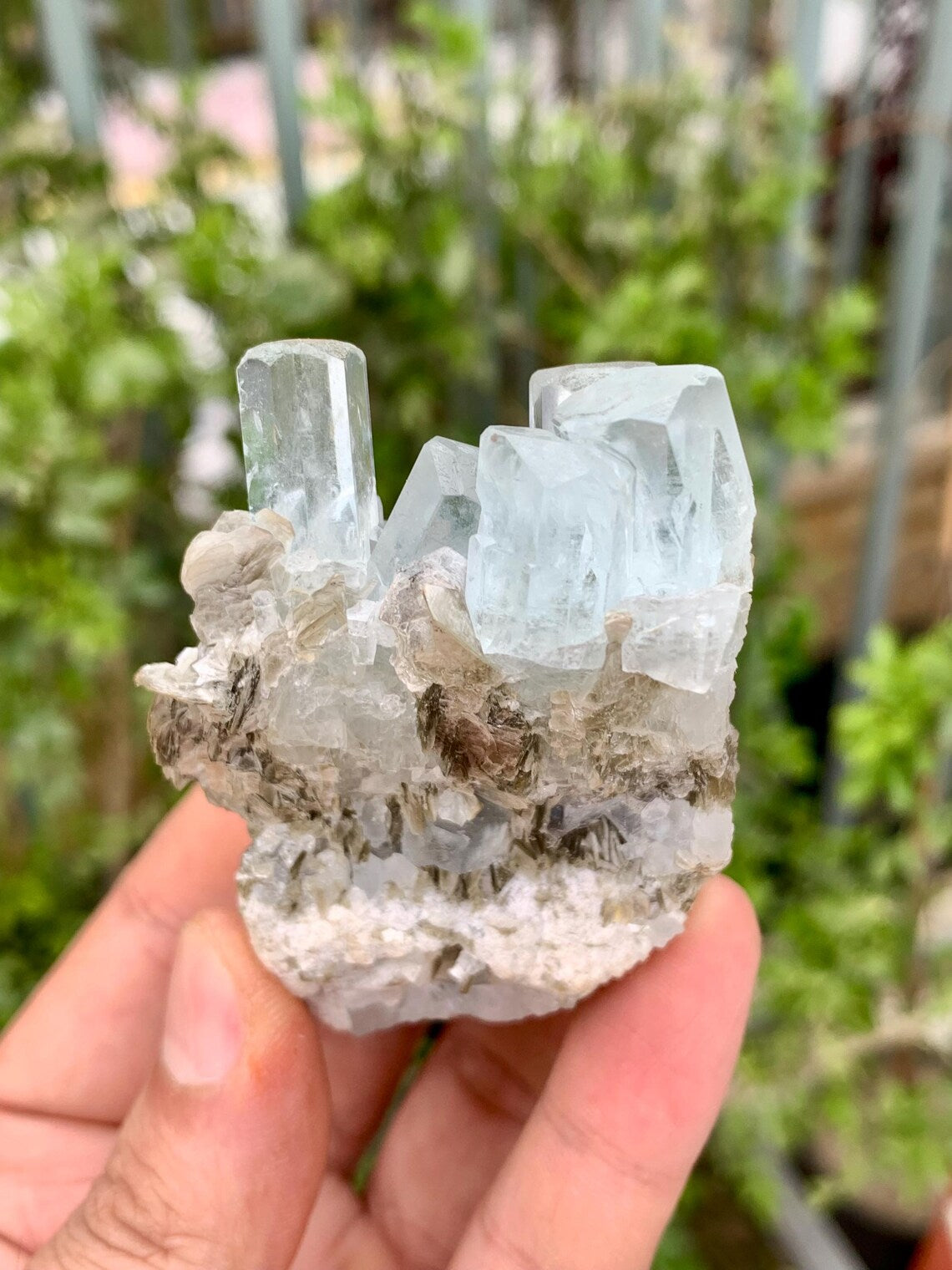 Aquamarine Cluster on Mica from Nagar valley Pakistan - 103 grams