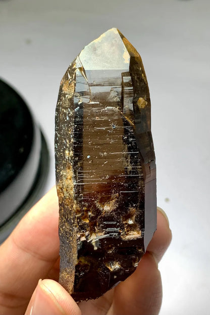 Smoky Quartz Crystal from Skardu Pakistan - 78 gram