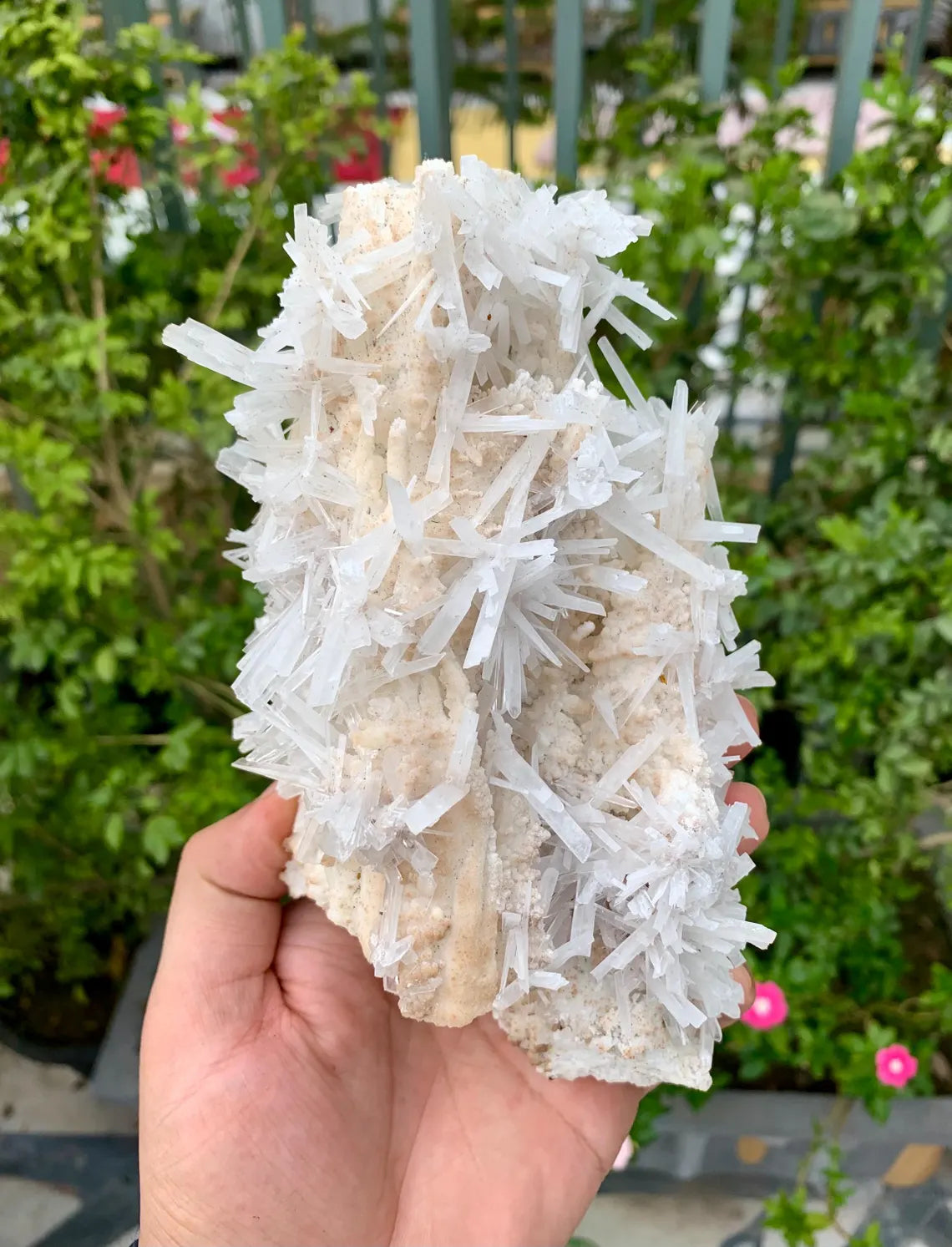 Aragonite Specimen from Pakistan - 572 gram