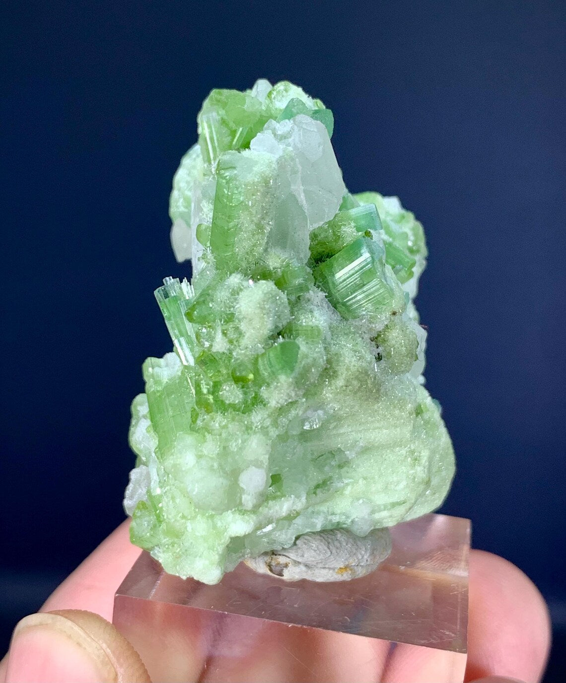 Tourmaline Cluster Specimen from Afghanistan - 38 gram
