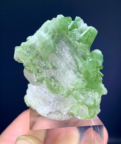 Tourmaline Cluster Specimen from Afghanistan - 38 gram