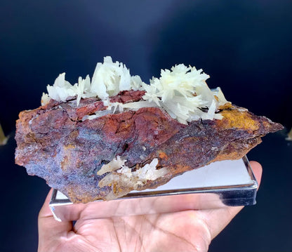 Crystallized Aragonite Cluster on Matrix from Baluchistan, Pakistan - 1035 grams