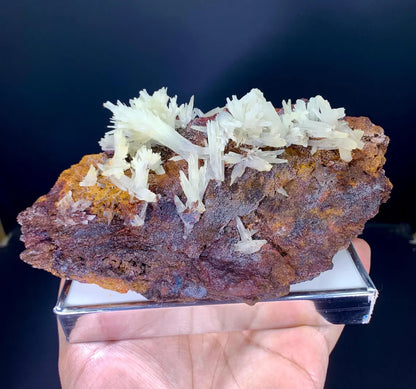 Crystallized Aragonite Cluster on Matrix from Baluchistan, Pakistan - 1035 grams
