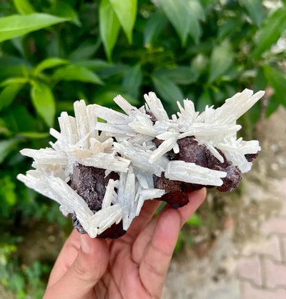 Aragonite Cluster on Matrix from Pakistan - 390 grams