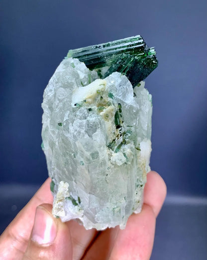 Tourmaline Crystals on Quartz from Afghanistan - 184 gram