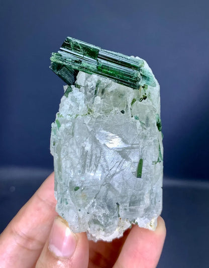 Tourmaline Crystals on Quartz from Afghanistan - 184 gram