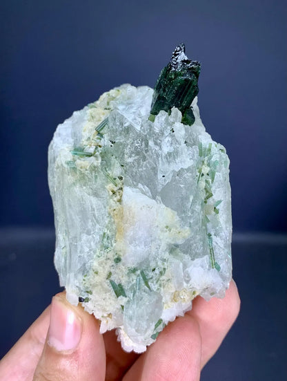 Tourmaline Crystals on Quartz from Afghanistan - 184 gram