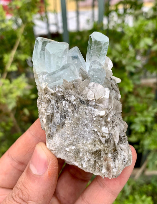 Aquamarine Cluster on Mica from Nagar valley Pakistan - 103 grams