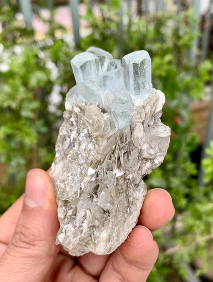 Aquamarine Cluster on Mica from Nagar valley Pakistan - 103 grams