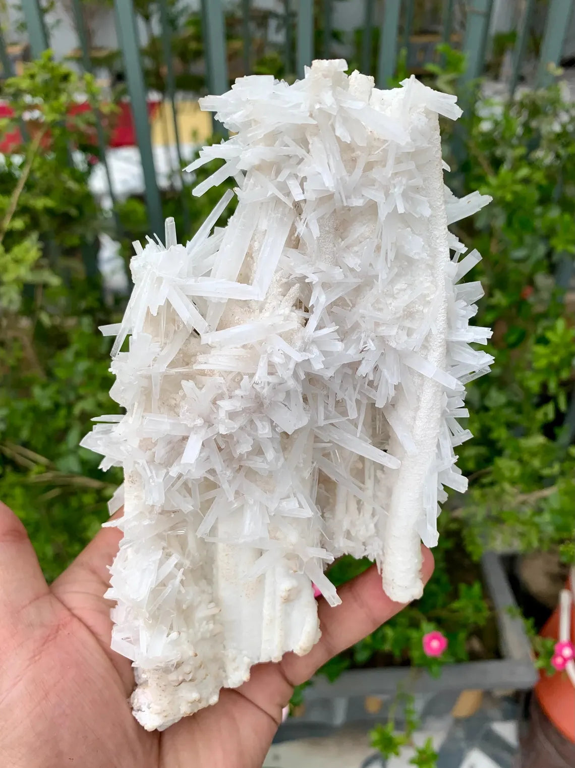 Aragonite Specimen from Pakistan - 572 gram