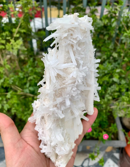 Aragonite Specimen from Pakistan - 572 gram
