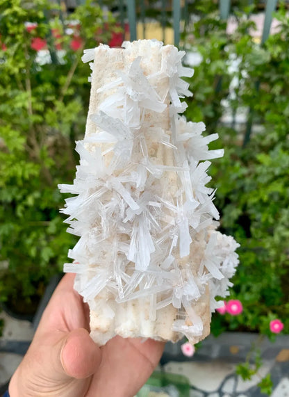 Aragonite Specimen from Pakistan - 572 gram
