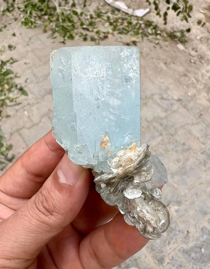 DT Sky Blue Aquamarine on Muscovite Mica from Nagar valley Pakistan - 83 gram