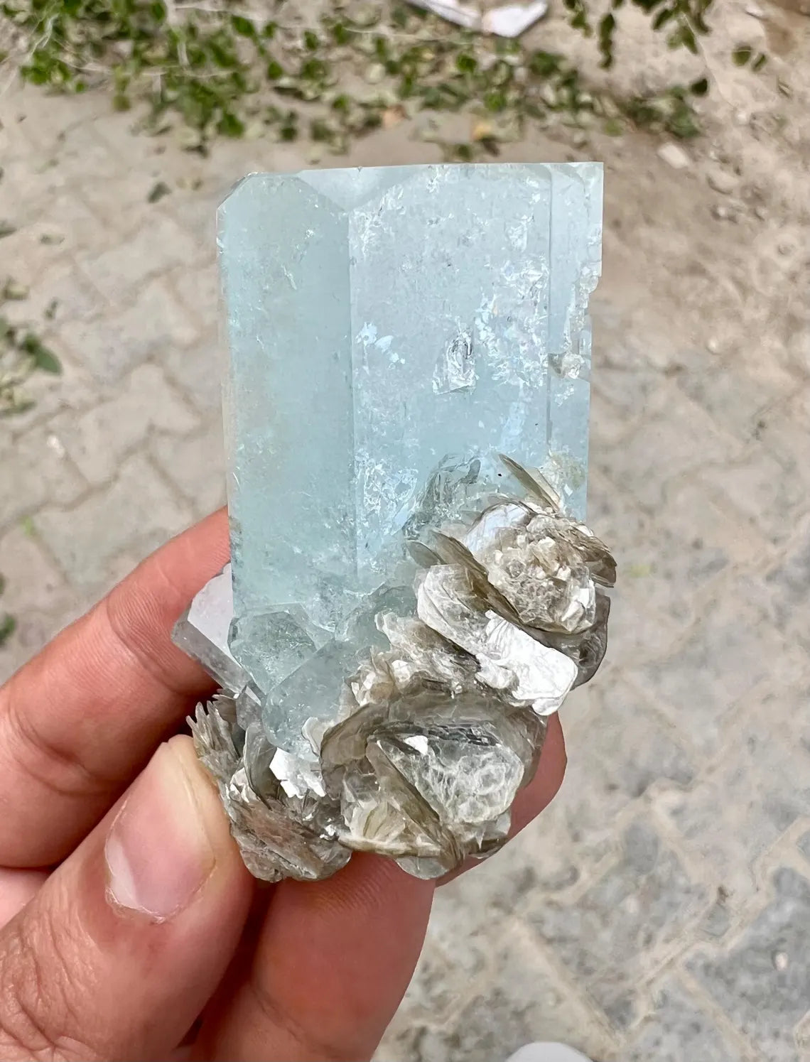 DT Sky Blue Aquamarine on Muscovite Mica from Nagar valley Pakistan - 83 gram