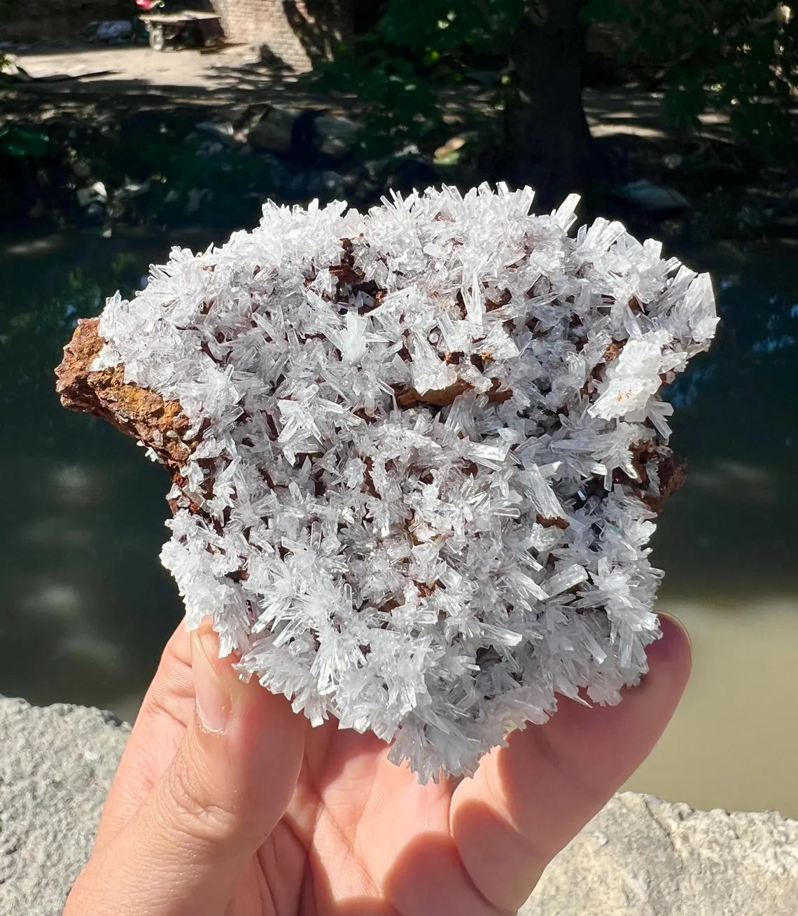 Aragonite Specimen from Pakistan - 270 gram