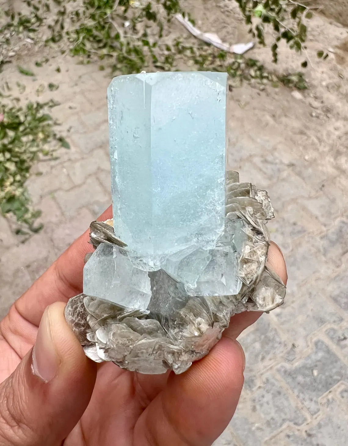 DT Sky Blue Aquamarine on Muscovite Mica from Nagar valley Pakistan - 83 gram