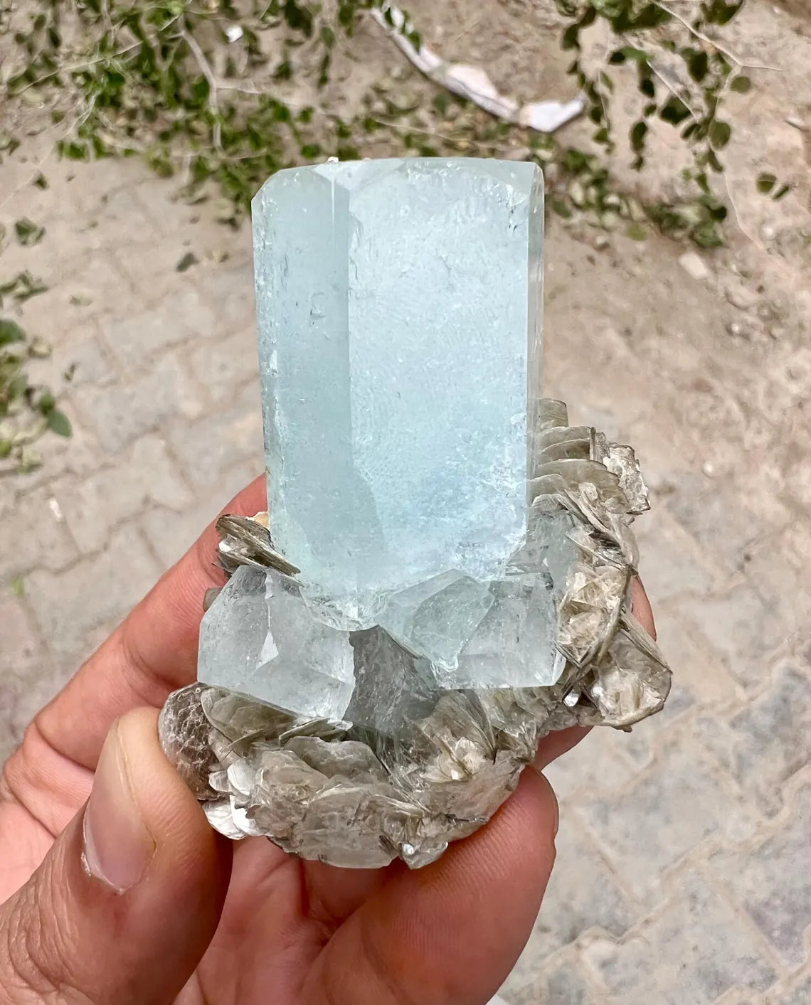 DT Sky Blue Aquamarine on Muscovite Mica from Nagar valley Pakistan - 83 gram