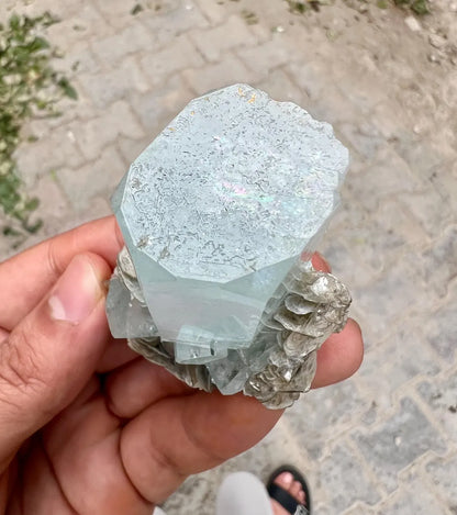 DT Sky Blue Aquamarine on Muscovite Mica from Nagar valley Pakistan - 83 gram