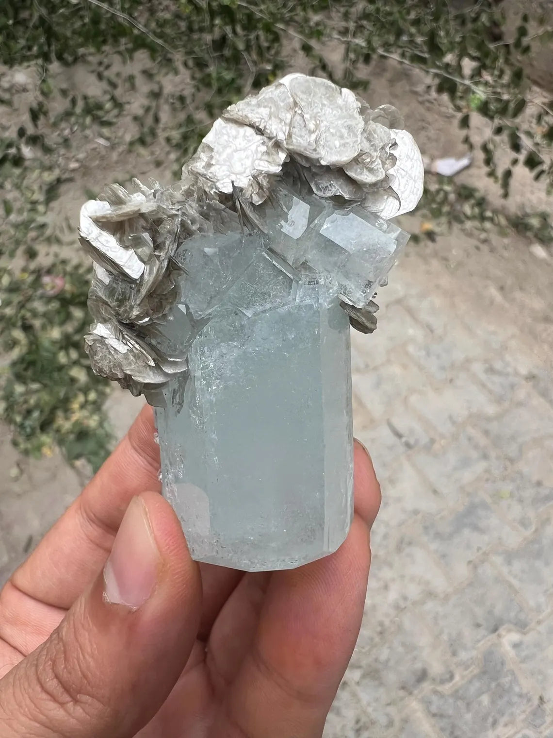 DT Sky Blue Aquamarine on Muscovite Mica from Nagar valley Pakistan - 83 gram