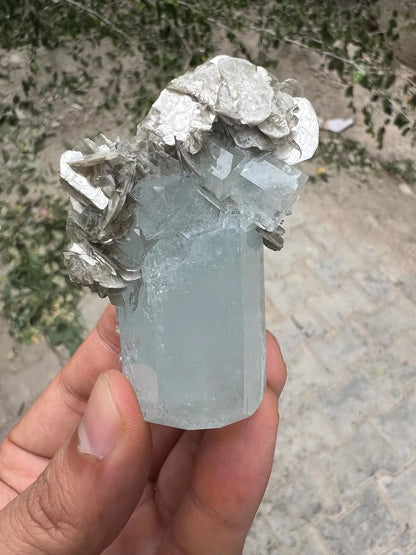 DT Sky Blue Aquamarine on Muscovite Mica from Nagar valley Pakistan - 83 gram