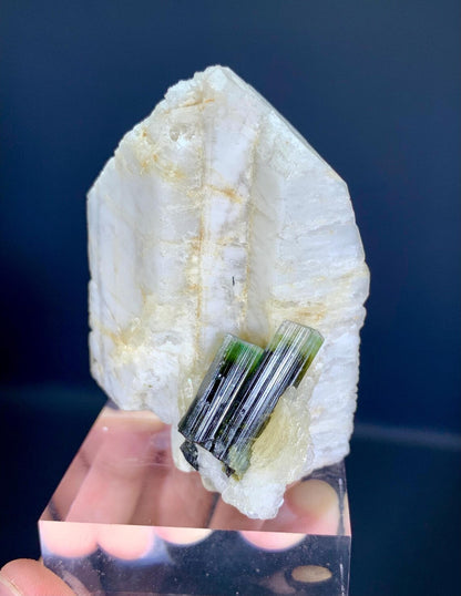 Tourmalines on Feldspar from Pakistan - 129 gram