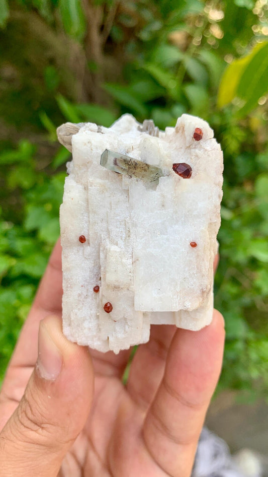Red Garnet Crystals with Tourmaline Included Aquamarine on Feldspar from Pakistan - 176 gram