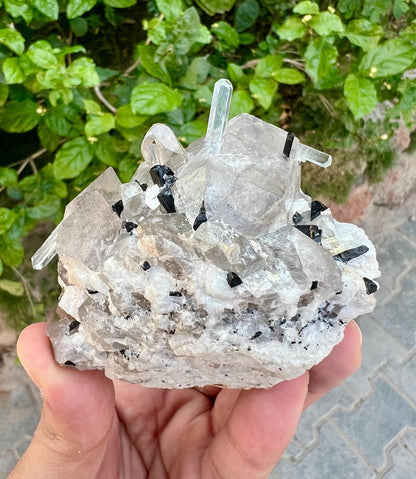 Aquamarine Crystals Combine Topaz Quartz and Tourmaline from Shigar valley Pakistan - 273 gram