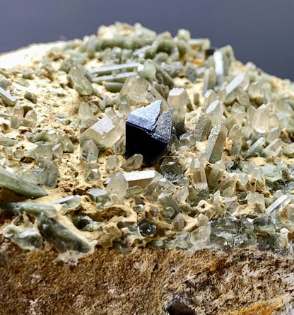 Rare Anatase with Chlorine Quartz on Matrix from Baluchistan, Pakistan - 331 gram