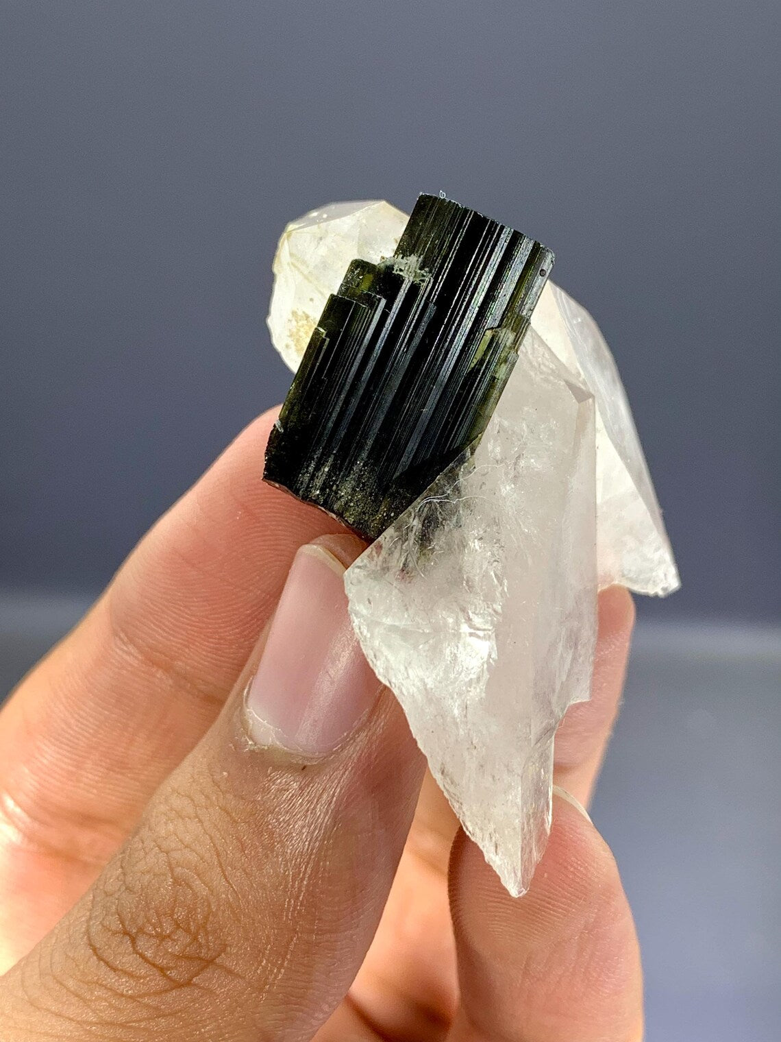 Tourmaline Crystal on Quartz from Pakistan - 22 Gram