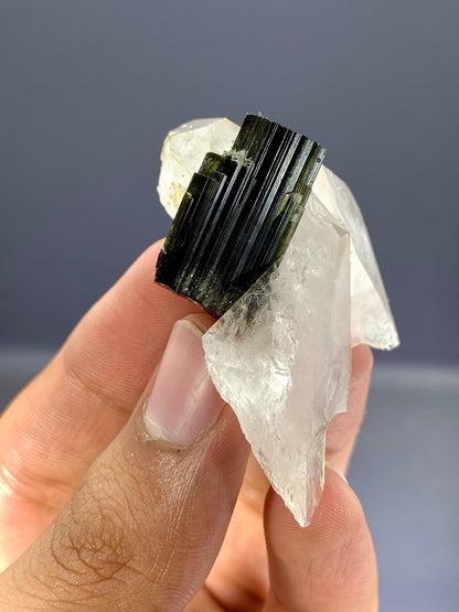 Tourmaline Crystal on Quartz from Pakistan - 22 Gram