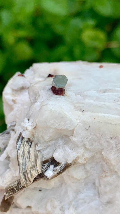Red Garnet Crystals with Tourmaline Included Aquamarine on Feldspar from Pakistan - 176 gram