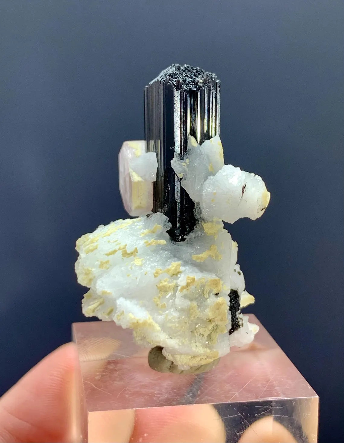 Fluorescent Pink Apatite on Etched Schorl and Albite from Skardu Pakistan - 16 gram