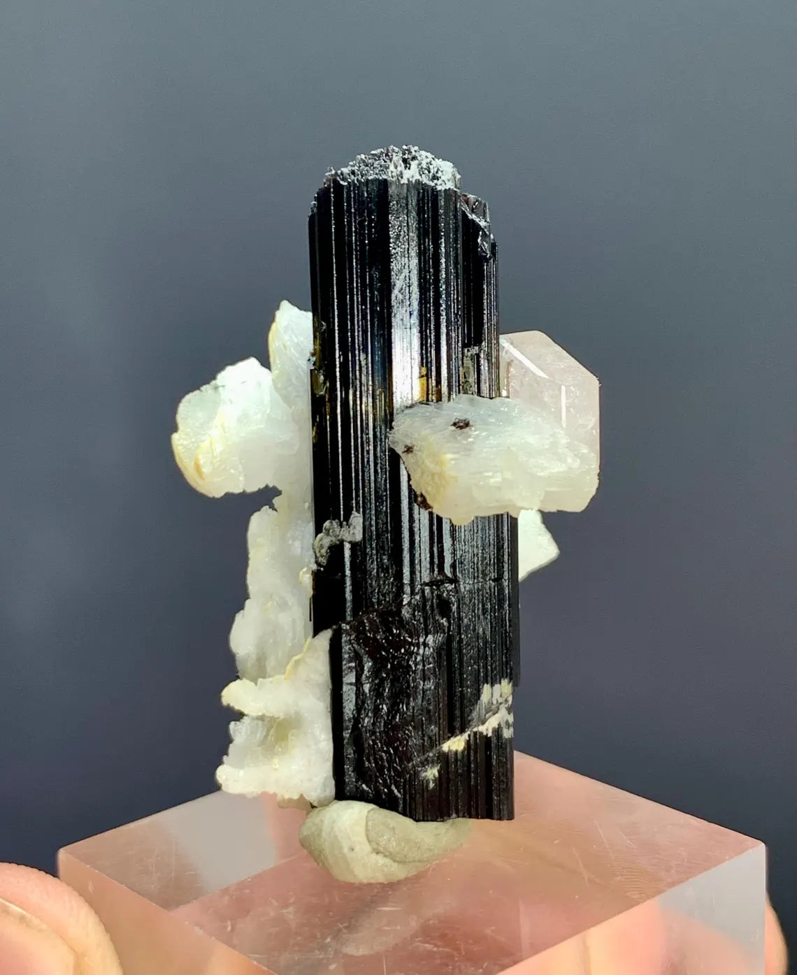 Fluorescent Pink Apatite on Etched Schorl and Albite from Skardu Pakistan - 16 gram