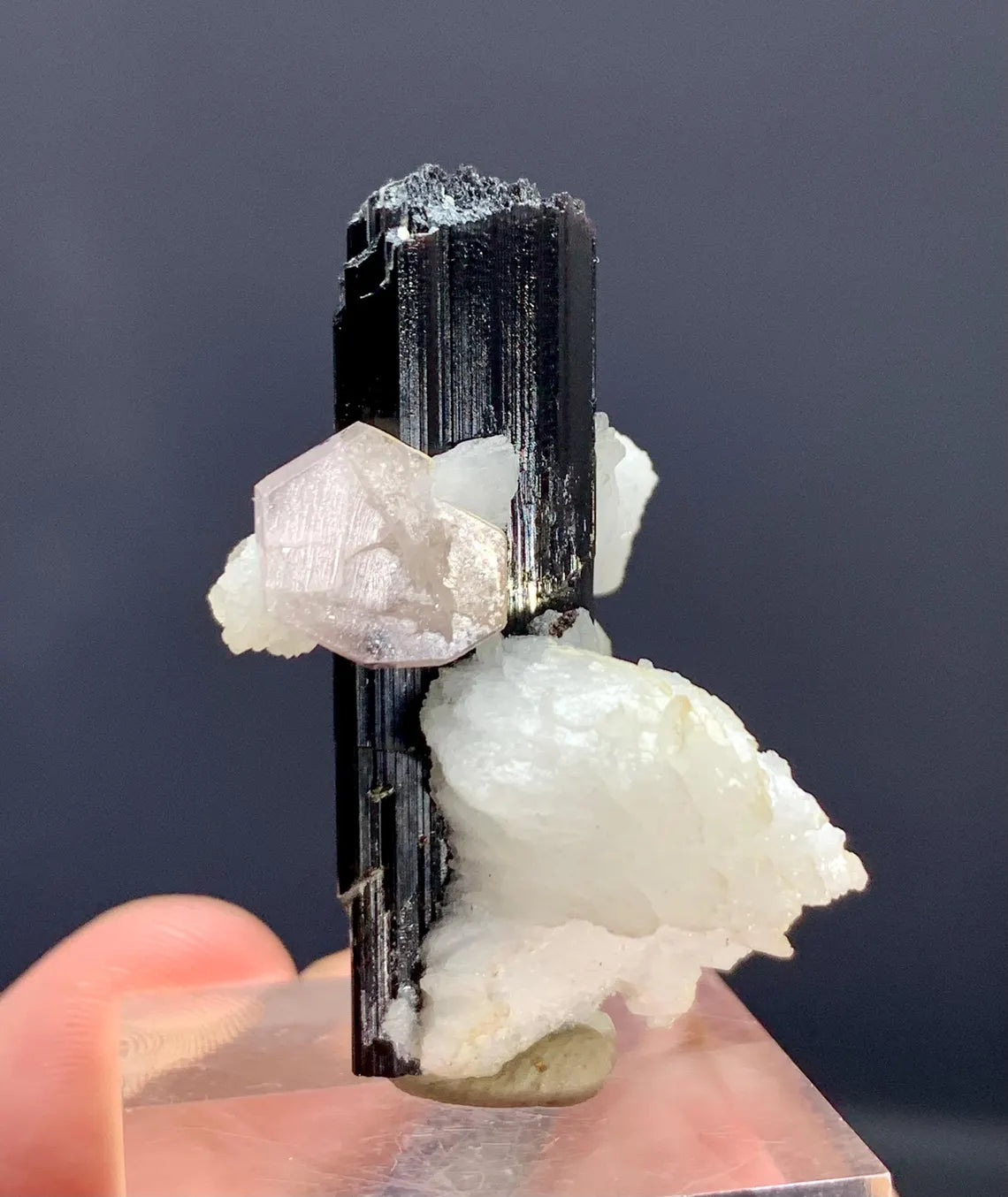 Fluorescent Pink Apatite on Etched Schorl and Albite from Skardu Pakistan - 16 gram