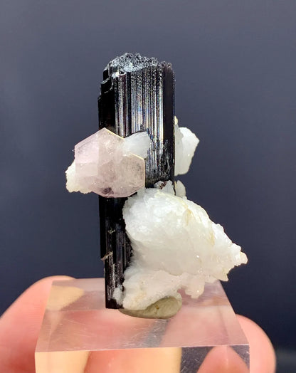 Fluorescent Pink Apatite on Etched Schorl and Albite from Skardu Pakistan - 16 gram