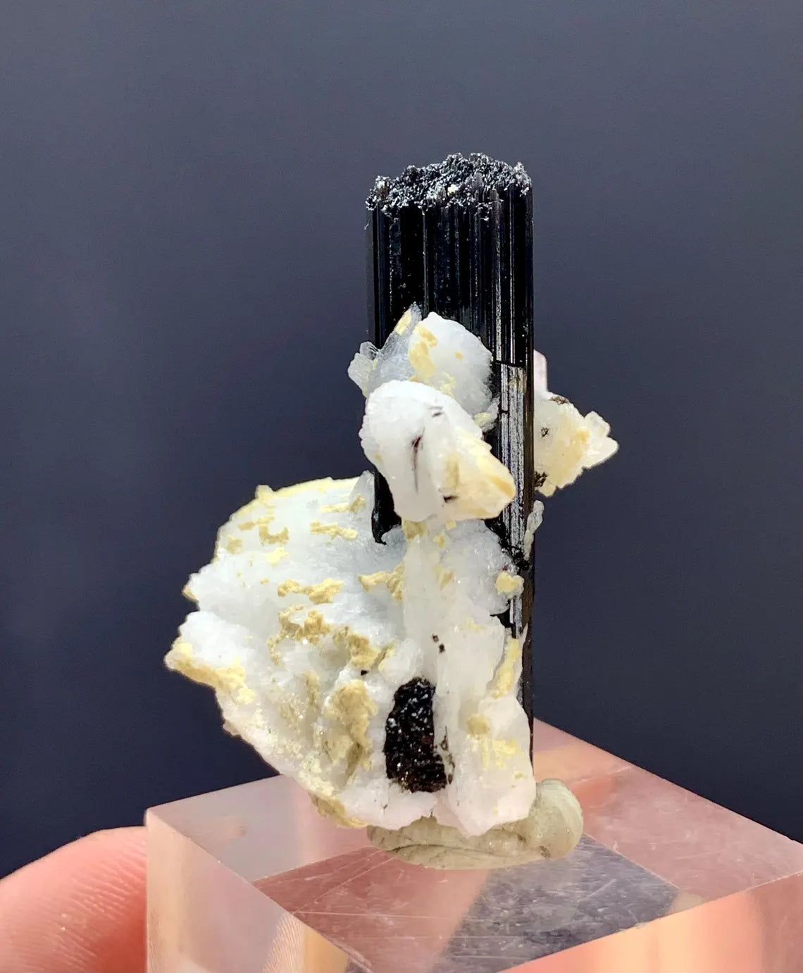 Fluorescent Pink Apatite on Etched Schorl and Albite from Skardu Pakistan - 16 gram