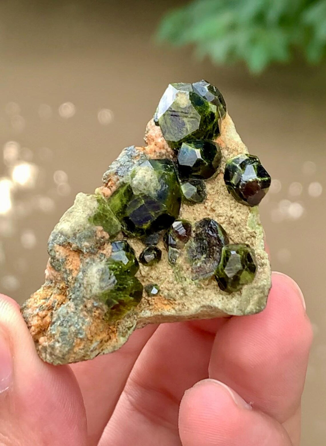 Demantoid Garnet Specimen - 37 Gram