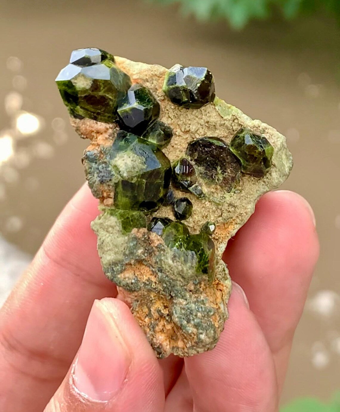 Demantoid Garnet Specimen - 37 Gram