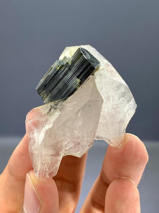 Tourmaline Crystal on Quartz from Pakistan - 22 Gram