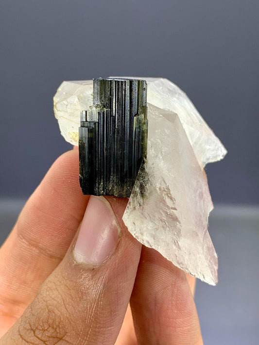 Tourmaline Crystal on Quartz from Pakistan - 22 Gram