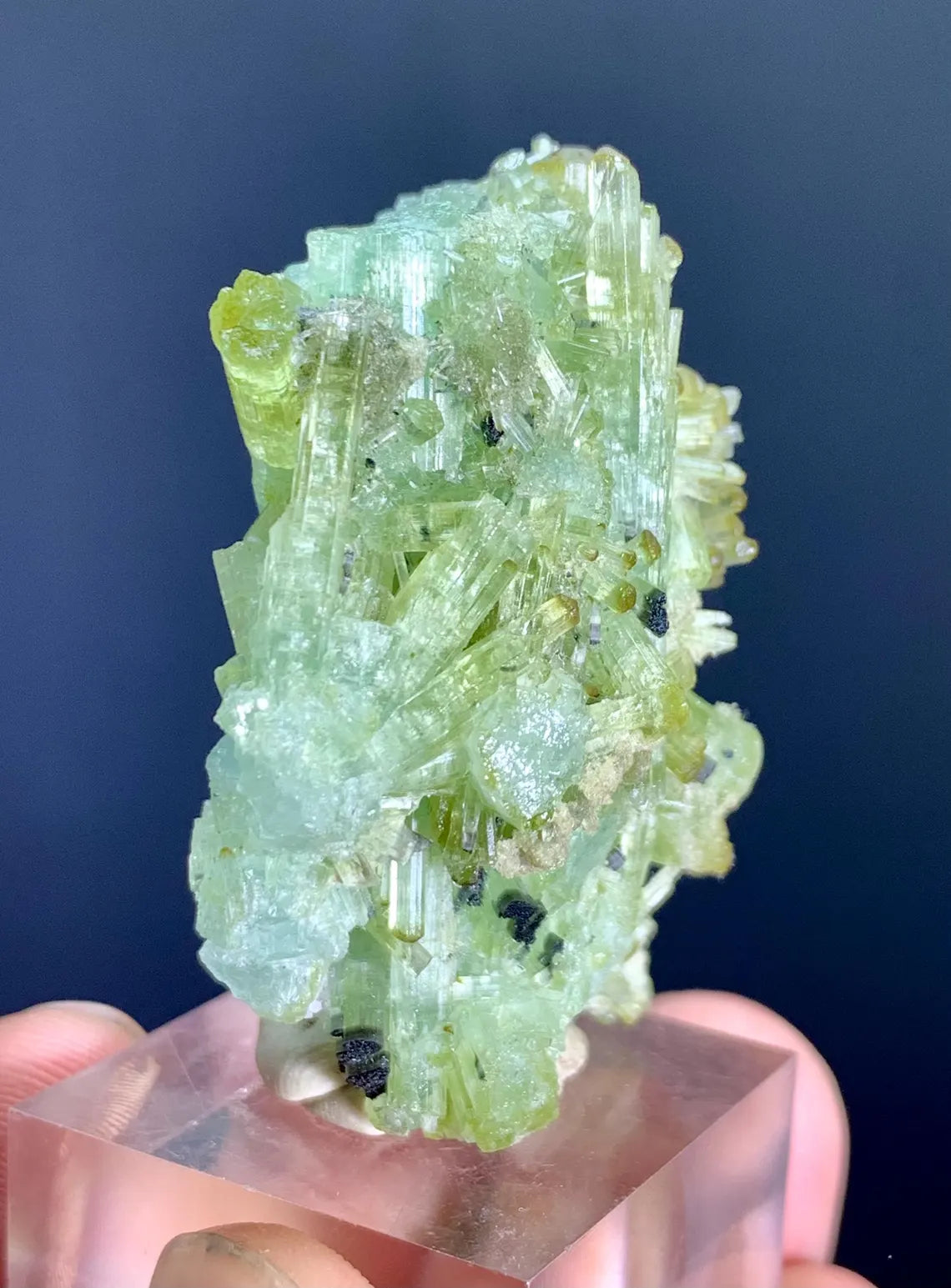 Tourmaline Bunch from Afghanistan - 33 gram