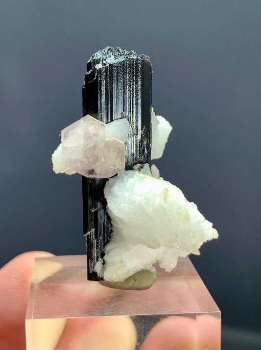 Fluorescent Pink Apatite on Etched Schorl and Albite from Skardu Pakistan - 16 gram