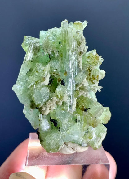 Tourmaline Bunch from Afghanistan - 33 gram