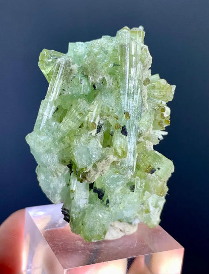 Tourmaline Bunch from Afghanistan - 33 gram