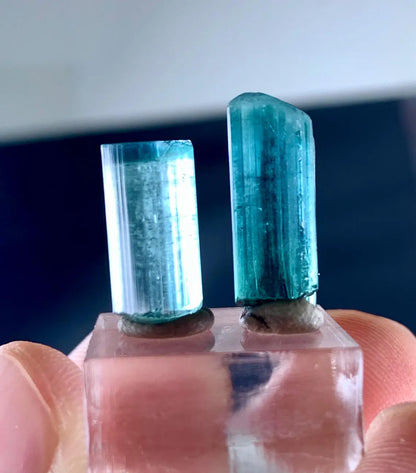 Indicolite from Afghanistan - 16.50 carats